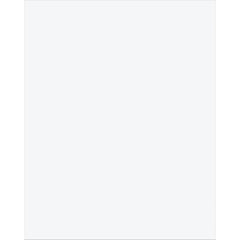 Plastic Poster Board 22in x 28in White