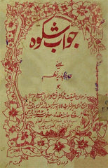 Allama Iqbal Urdu 30-Books Collection Set | Poetry, Philosophy & Islamic Thought