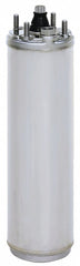 Franklin 1/3 HP Deep Well Submersible Pump Motor,Capacitor-Start,3450 Nameplate RPM,230 Voltage - 2145039004S