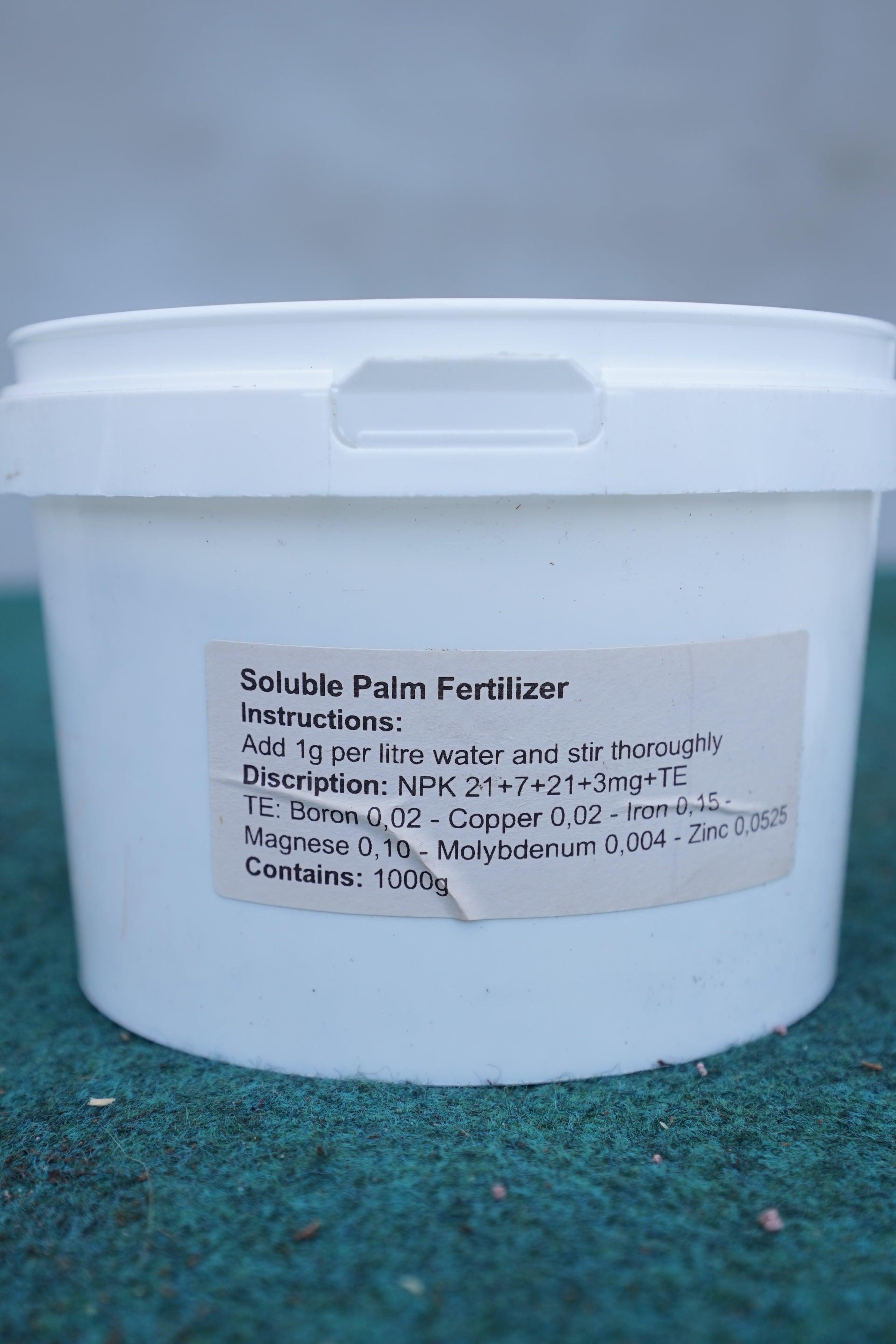 Löslicher Palmendünger - 1kg Eimer - Image #3