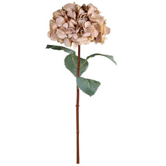 Kunstig Hortensia 80 cm Beige - Chic Antique Fleur Chic Antique