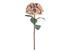 Kunstig Hortensia 80 cm Beige - Chic Antique Fleur Chic Antique