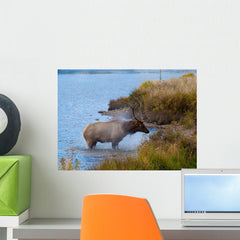 Bull Elk Exiting Lake Wall Mural