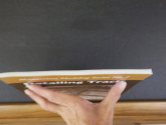 Detailing Track Masterclass Modeling Series No 2 by Mike Cougill soft cover