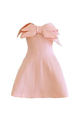 Pink Clayton A-line pleated chest organdy mini dress by Do Long, featuring a fitted bodice and flowing pleated skirt.