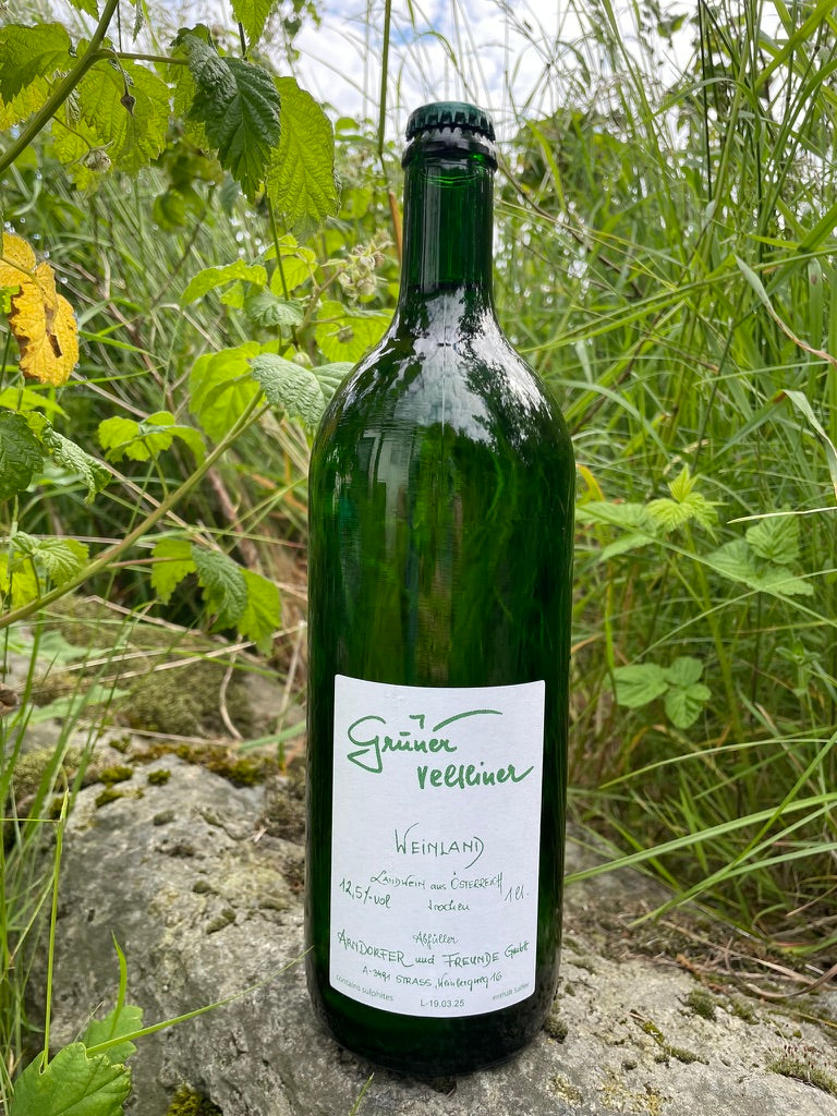 Hylde nr. 122) Anna & Martin Arndorfer, Grüner Veltliner Landwein 1l.