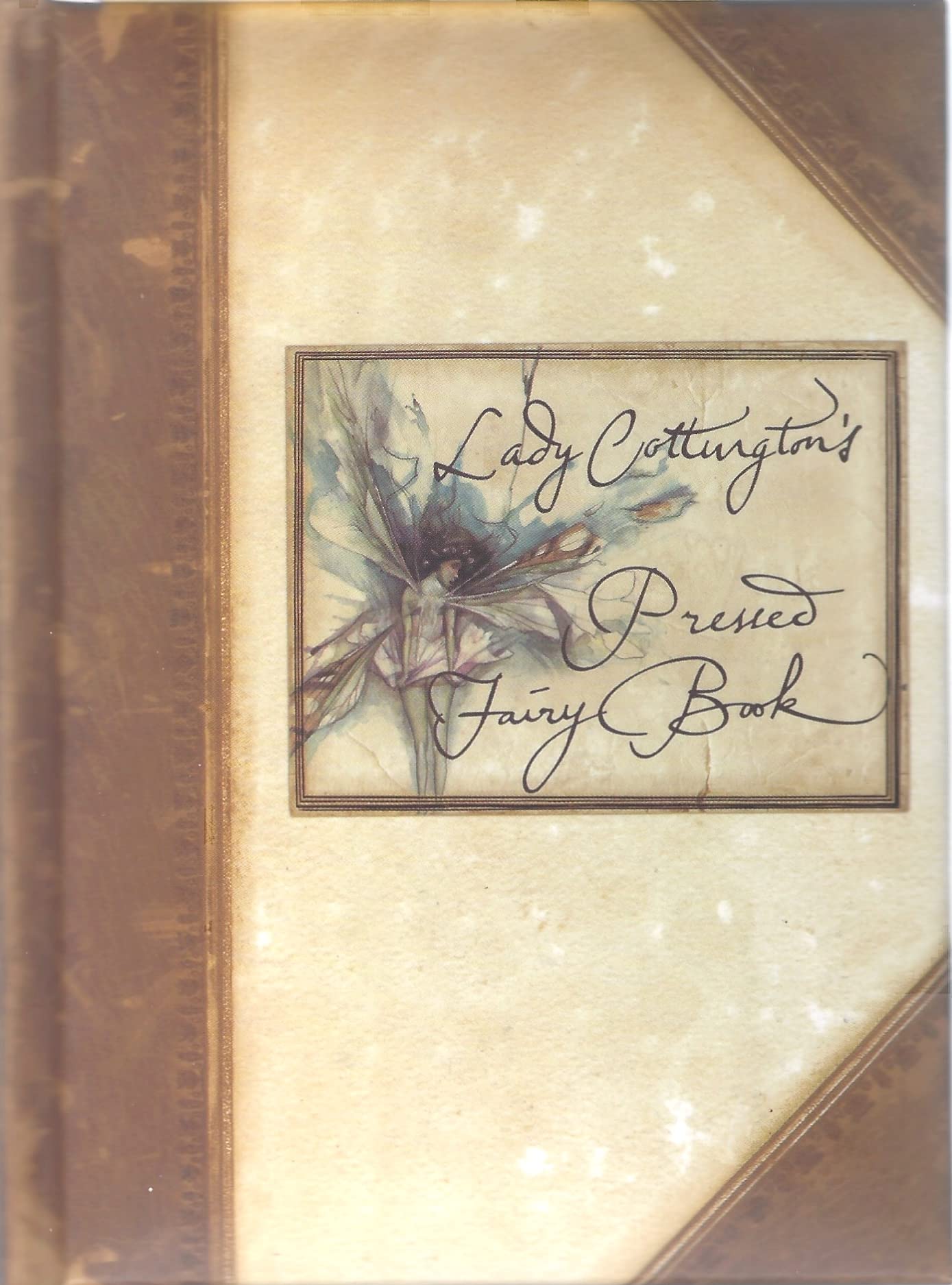 Lady Cottington's Pressed Fairy Book used book depot
