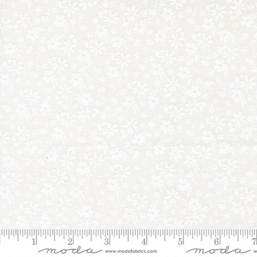 37701 21.jpg