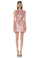 Rosee Cap Sleeve Mini Dress by Bronx and Banco