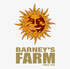 Buy Barneys Farm Liberty Haze Cannabis Seeds Pack of 10 in Manchester