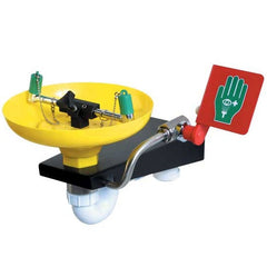 Hughes 75GEW Wall Mounted Eye/Face Wash
