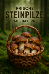 Frische Steinpilze aus Bayern