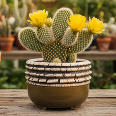 Peety Pots by Pablo
