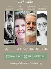 Maladie de lyme - partage entre herboristes