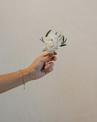 Prendido chaqueta invitado flores preservadas Hortensia blanca y willow verde.