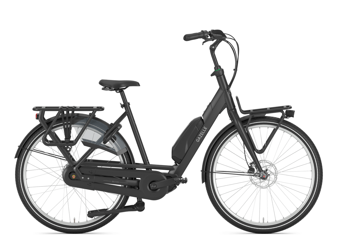 Gazelle Bloom C310