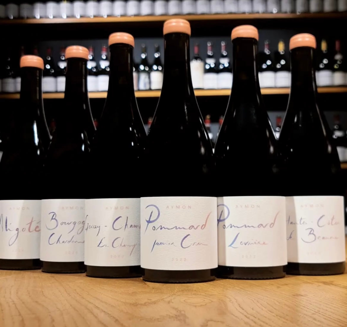 AYMON Pommard "Les Levrières" 2022 - Freiheit Vinothek