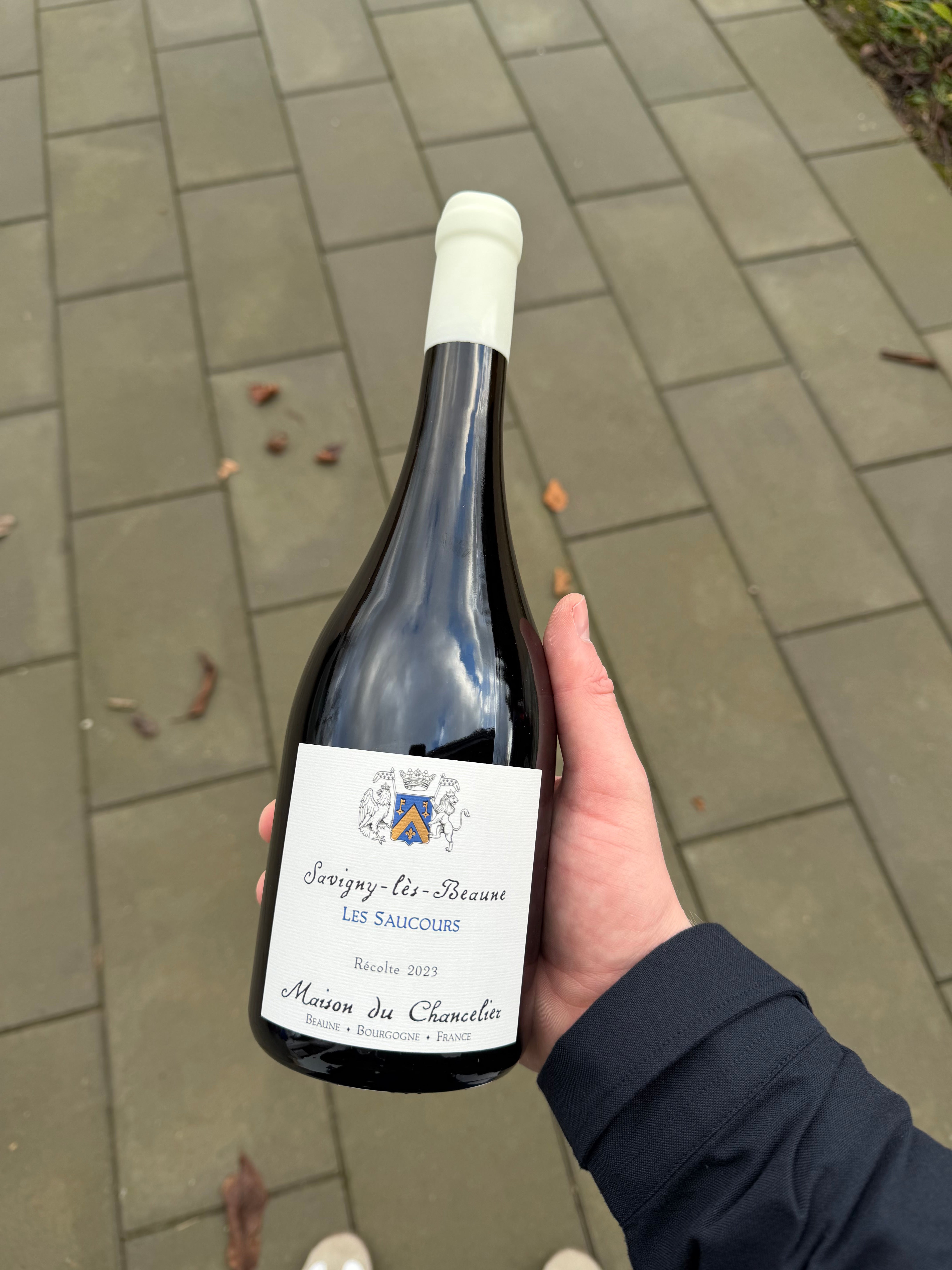 Domaine du Chancelier - Savigny-lés-Beaune 'Les Saucours' '23