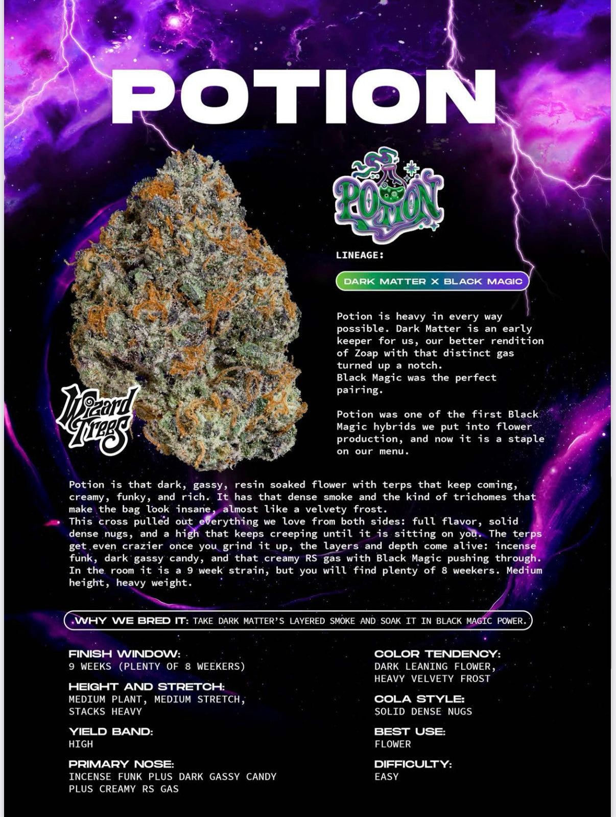 Wizard Tree - Potion feminisierte Cannabis Samen