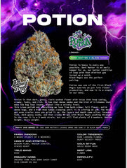 Wizard Tree - Potion feminisierte Cannabis Samen