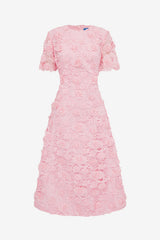 Caroline Lace Short Sleeves Midi Dress - Blush Pink Dress Midi