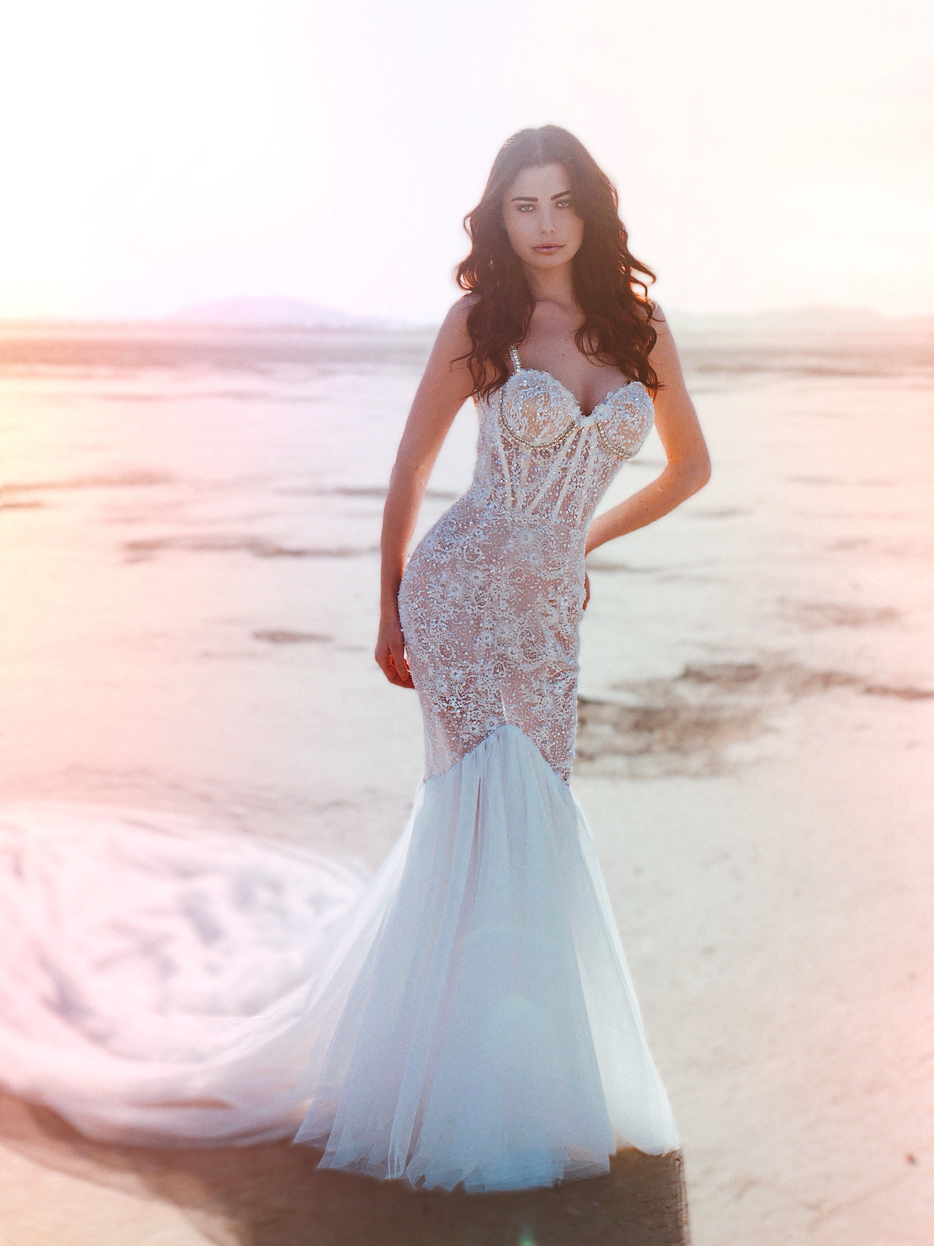 Illusion lace wedding dress with mesh skirt in desert
