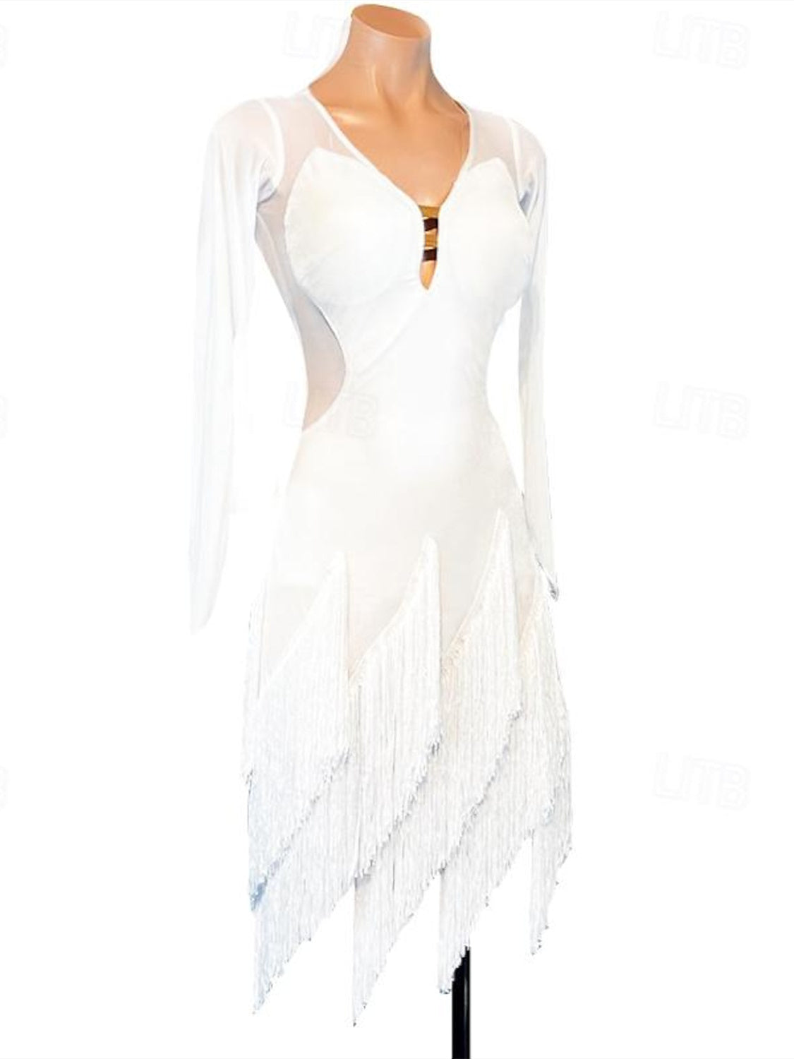 Latin Dance Dress Long Sleeve High Spandex Tassel Women's Performance Training