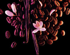 Yves Saint Laurent Opium Black 90 ml Eau de Parfum - Damesparfum