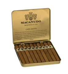 Macanudo Cafe Ascot