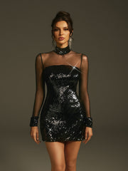 Marilee Long Sleeve Sequin Mesh Mini Dress