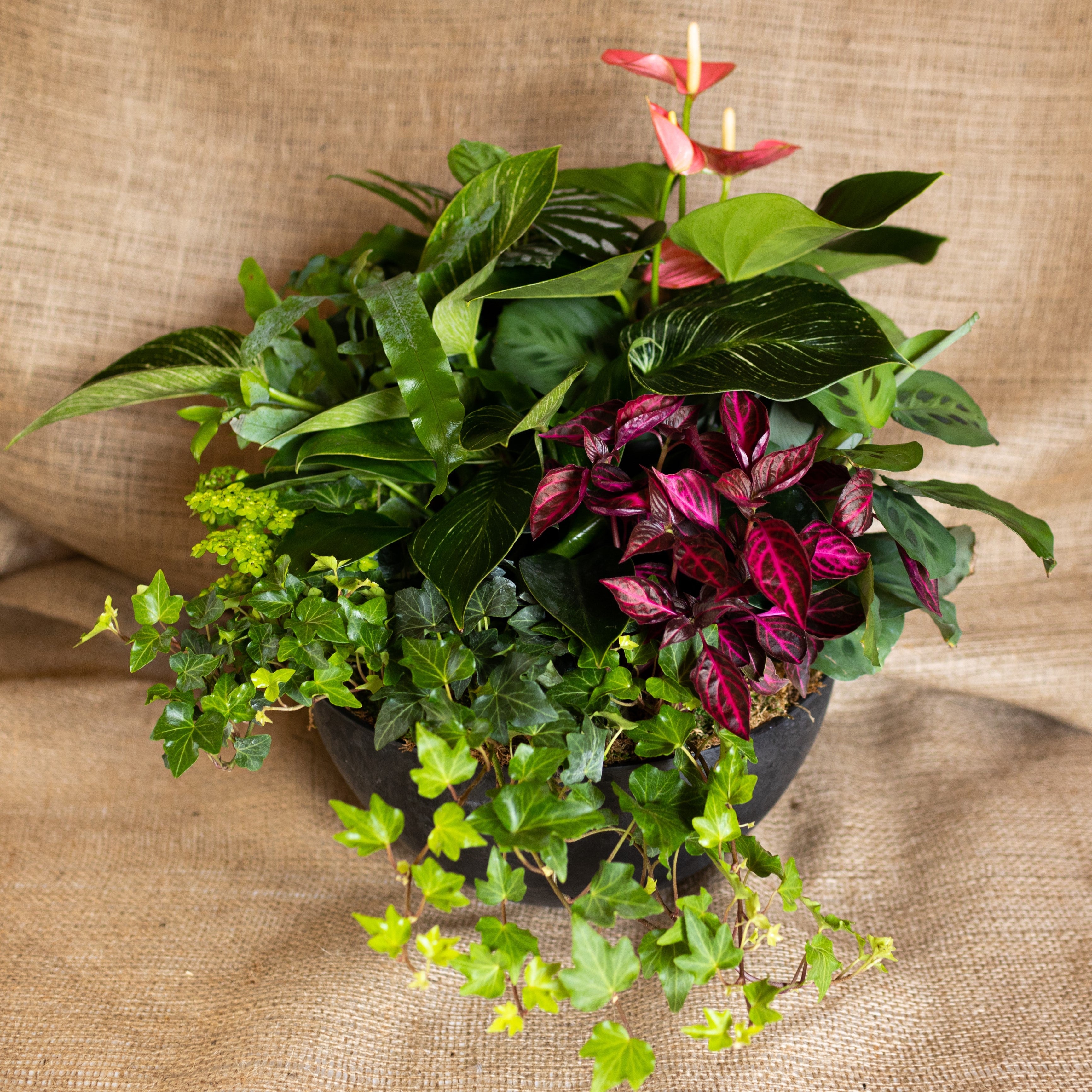 Mixed Planter