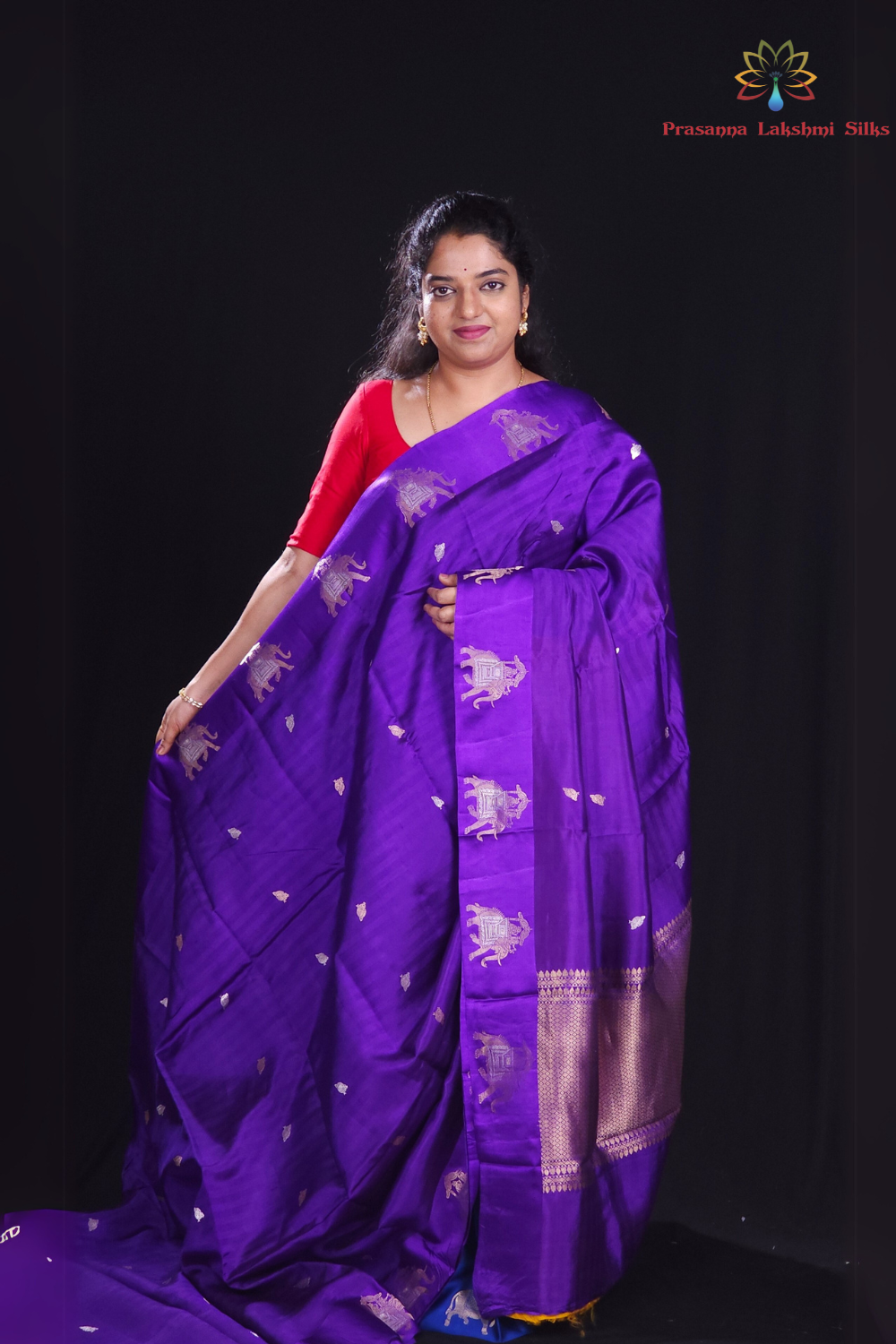 Ink Blue"Banaras Pure Raw mango saree with simple border."