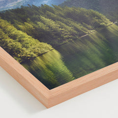 Paisaje 44