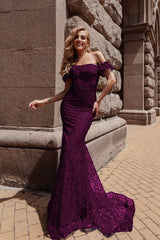 Tina Holly Couture TW024 Plum Purple Corset Lace Glitter Mermaid Formal Dress in Australia | One Honey Boutique