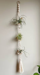 air plant hanger macrame