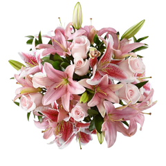 Arreglo Condolencia Rosas Lirios Rosados 24H Bogotá | Funeral Entrega Inmediata
