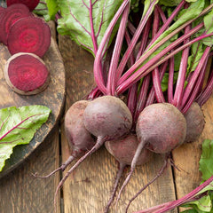 A cluster of detroit dark red beetroots with slender stems, freshly harvested. | copyright: Floramedia UK Ltd