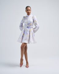 crush buttoned mini dress