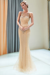 Eye-catching Long Mermaid Jewel Tulle Evening Dress-BIZTUNNEL