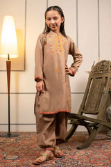 Best Cotton Embroidered 2 Pc Suit - Wear Ochre -