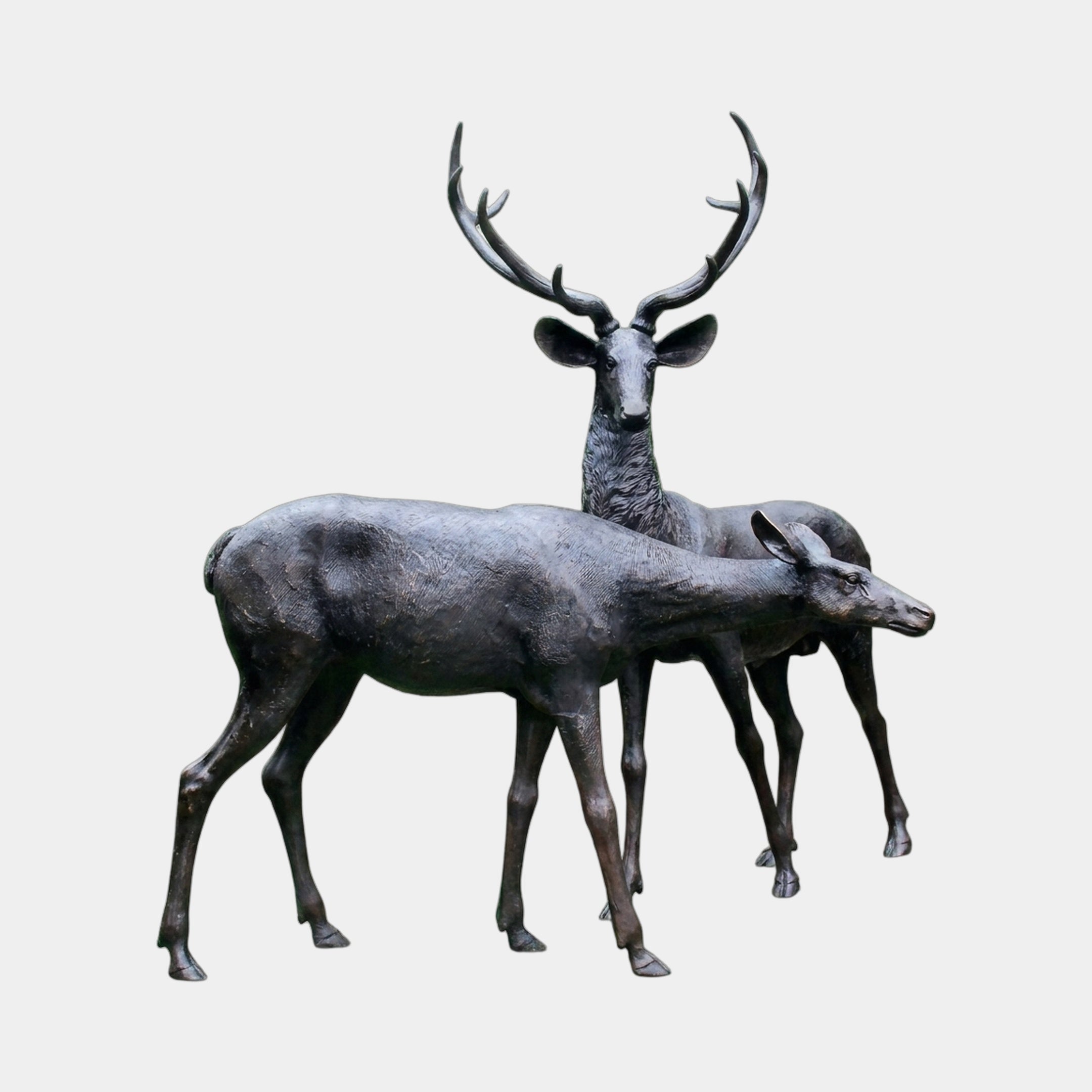 Life-Size Traditional Stag and Doe Deer Bronze Sculpture - 260cm