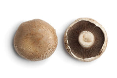 PORTOBELLO MUSHROOM - 5#