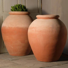 Boxhill's Italian Terracotta Olive Oil Urn Planter planted
