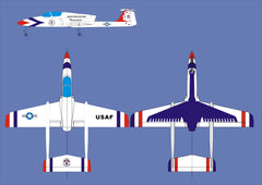 Boomerang Elan Thunderbird - Boomerang RC Jets