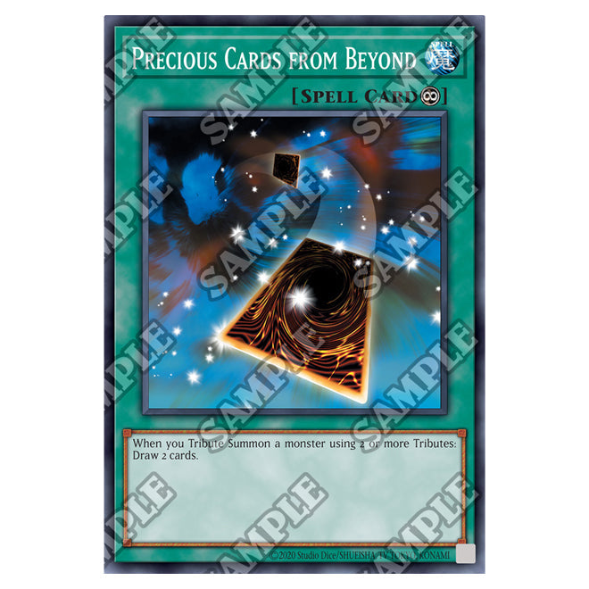 Yu-Gi-Oh! - Dark Crisis - 25th Anniversary Reprint - Precious Cards from Beyond (Common) DCR-25-EN038