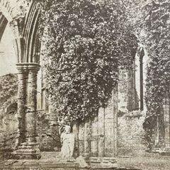 Antique 1870s Tinturn Abbey Monmouthshire England Stereoview Photo Card P4373