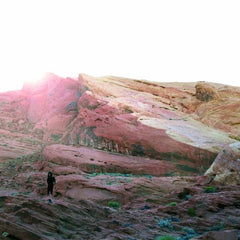Tamaryn: The Waves (Vinyl LP)