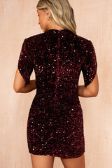 Martha Burgundy Velvet Sequin Ruched Dress