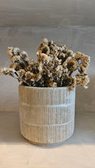 Dorothy Vase in Beige