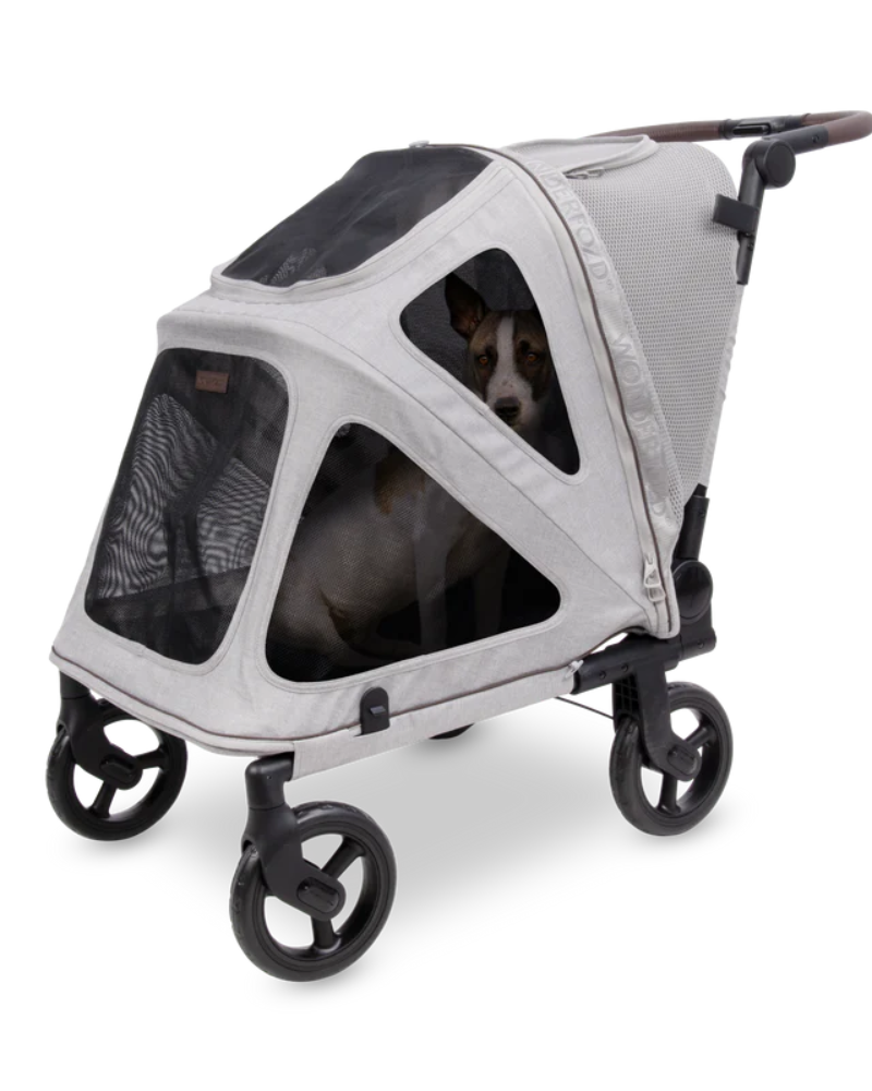 Hudson Flatfold Pet Stroller (for Medium to Large Dogs) (IN-STORE) CARRY WONDERFOLD